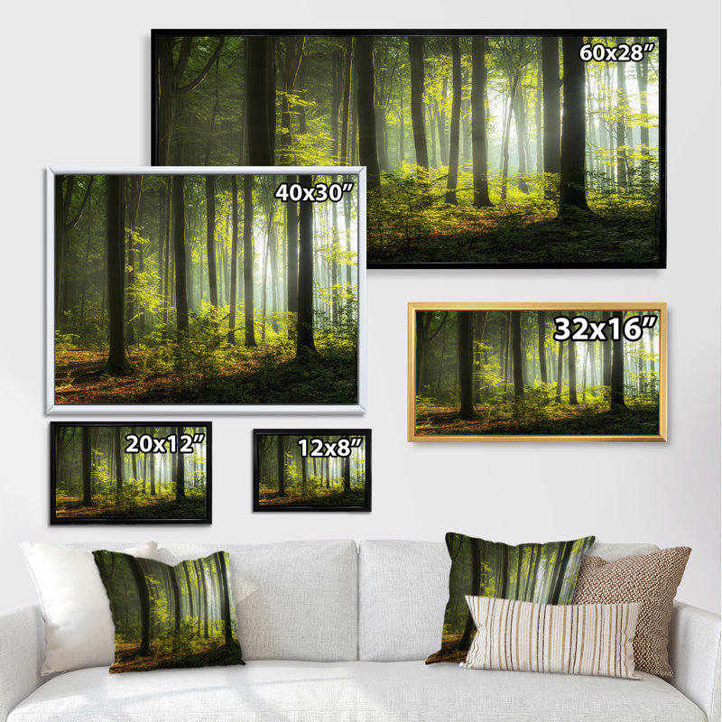 Mystic Morning Forest Sunrise - œuvre d'art sur toile traditionnelle, Cadre doré, H 16 po x l 32 po x P 1 po