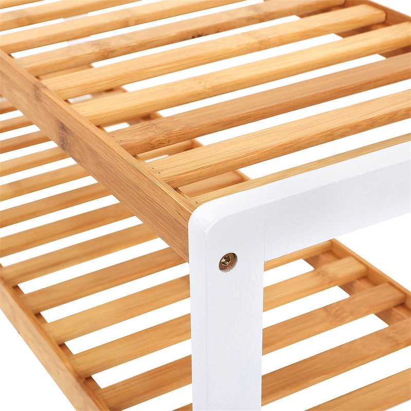 10 Pair Shoe Rack