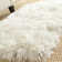 Orlinda Shag Hand Tufted Performance Solid Color Rug