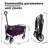 Collapsible Foldable Wagon Cart with strapping system, Beach Wagon Utility Cart Utility Wagon Grocery Cart for Camping Shopping Sports Gardeing Fishing Supports 225lbs All-Terrain Wheels-106491698