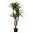 51" Tropical Yucca Artificial Tree with Natural Trunk and Planter by Pure Garden