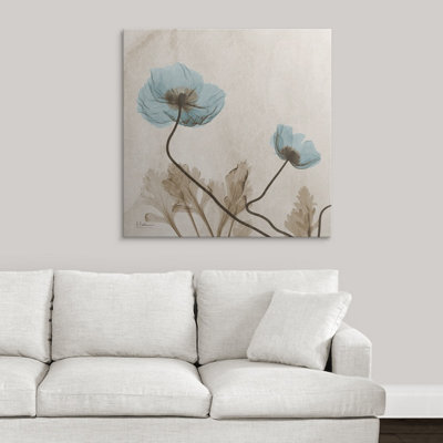 "Poppy X-Ray" de Manigault par Kiranjit, reproduction de photo