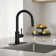 Pull Down Single Handle Kitchen Faucet With Deck Plate, Handles and Supply Lines