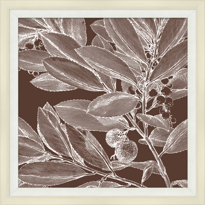 Brown Briar 2 Print