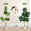 Ensemble de 2 figuiers de violon artificiels 4 pi, 2, 77 feuilles, jardinières décoratives blanches