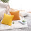 Coussin décoratif-1019936242-1019936186-993253376