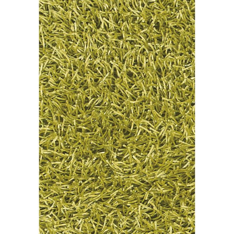 Tapis vert tissé à la main Latitude Run® Zara Vert, Rectangle 5 pi x 7 pi 6 po