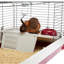 Rabbit Cage-65640382