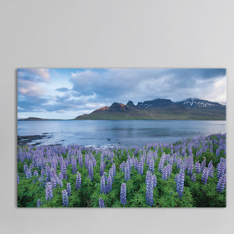 «Nootka Lupines I» par Gareth McCormack - reproduction de photo sur toile, H 40 po x l 60 po x P 1,5 po
