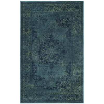 Evanoff Oriental Blue/Multi Area Rug