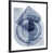 Black Framed selected