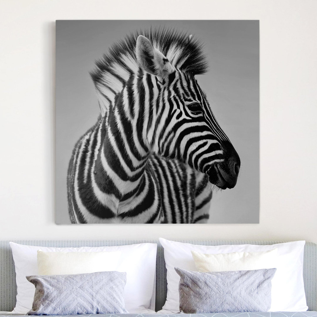 Glasbild Baby Zebra II