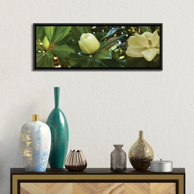 «Gros plan sur les fleurs de magnolia», reproduction de photo sur toile