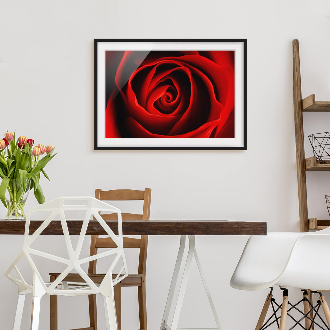 Gerahmtes Papierbild Liebliche Rose