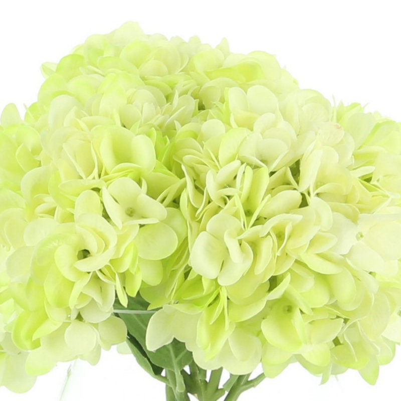 Hydrangea Bouquet In Vase, Lime Green