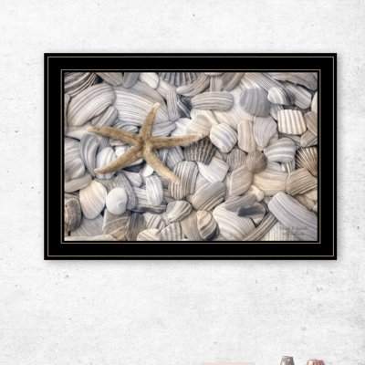 'Starfish & Seashells' by Lori Deiter - Picture Frame Print on Paper