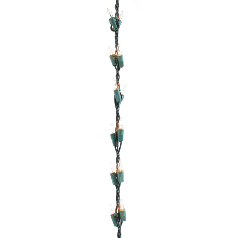Guirlande 100 lumières de Noël, Transparent / vert