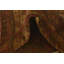Tapis ivoire 4 x 6 Pedersen