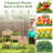 Wickenburg Planter Box