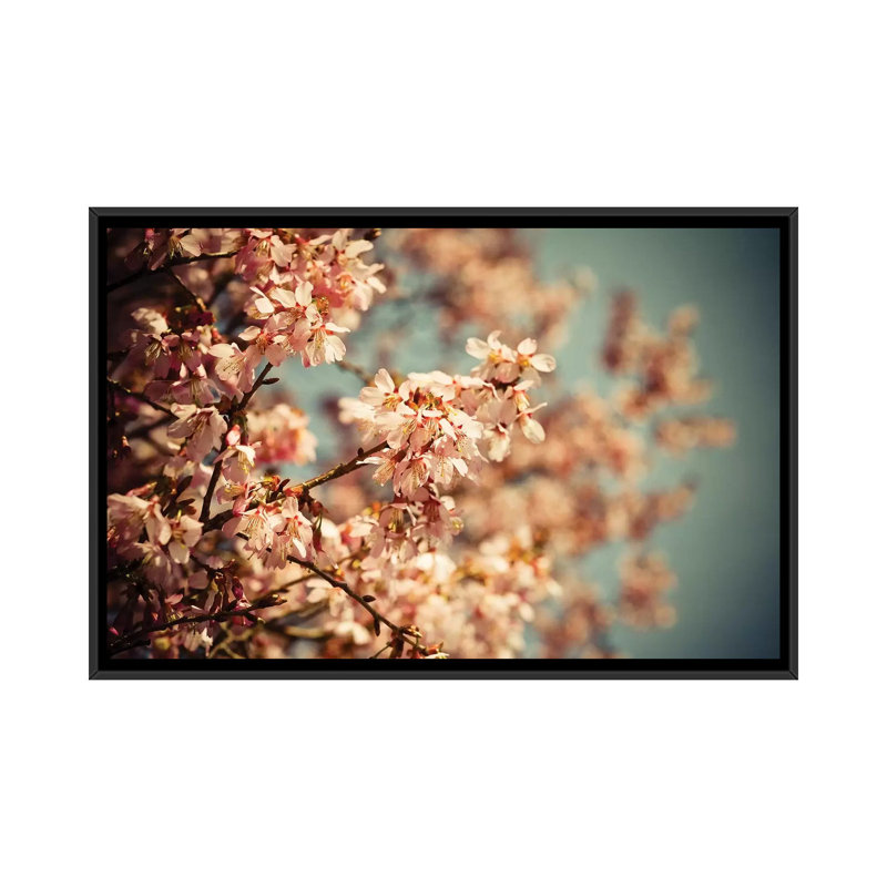 « timide », impression sur toile, H 18 po x l 26 po x P 1,5 po, Toile avec cadre noir, Pas de tapis
