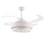 Ceiling Fan-1643580283