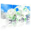 «White Lily and Peony», impression sur toile tendue à l'aquarelle (ensemble de 3)-454656638