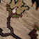Antiquity Wool Oriental Area Rug in Brown