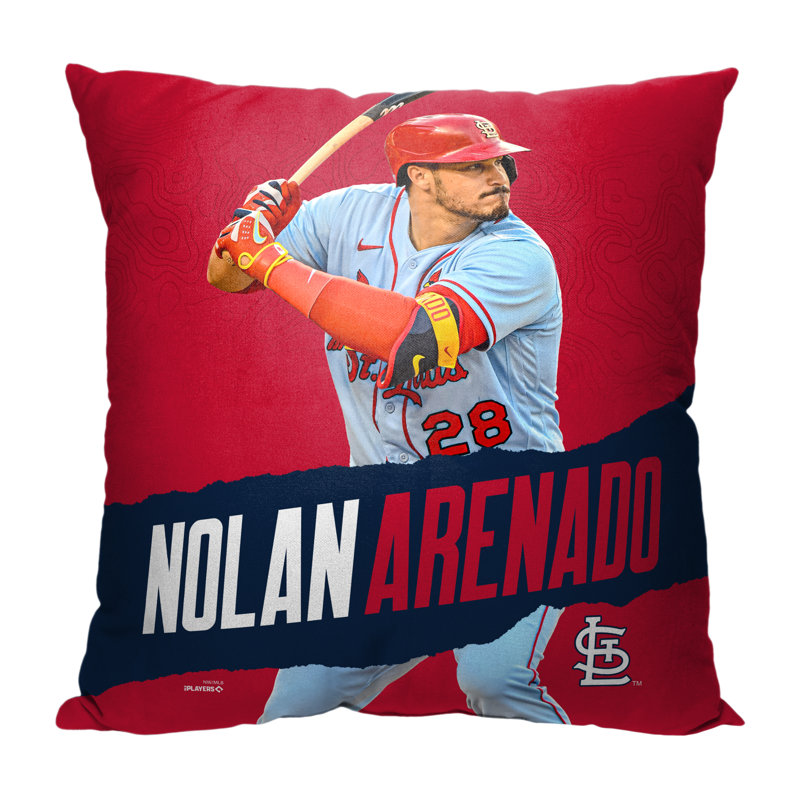 Reversible Pillow Cover