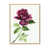 Toile avec cadre flottant brun
