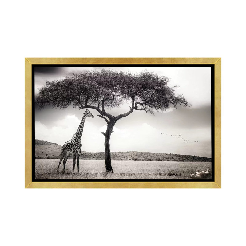 Reproduction de photo « sous le soleil africain » par Piet Flour, Toile encadrée d'or, H 40 po x l 60 po x P 1,5 po