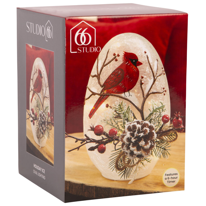 Éclairage ovale des Fêtes