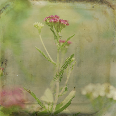 Filtered Dreams VI by Jennifer Jorgensen - Wrapped Canvas Print