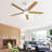 Julicia 52'' Ceiling Fan with LED Lights and Wall Switch-363906768