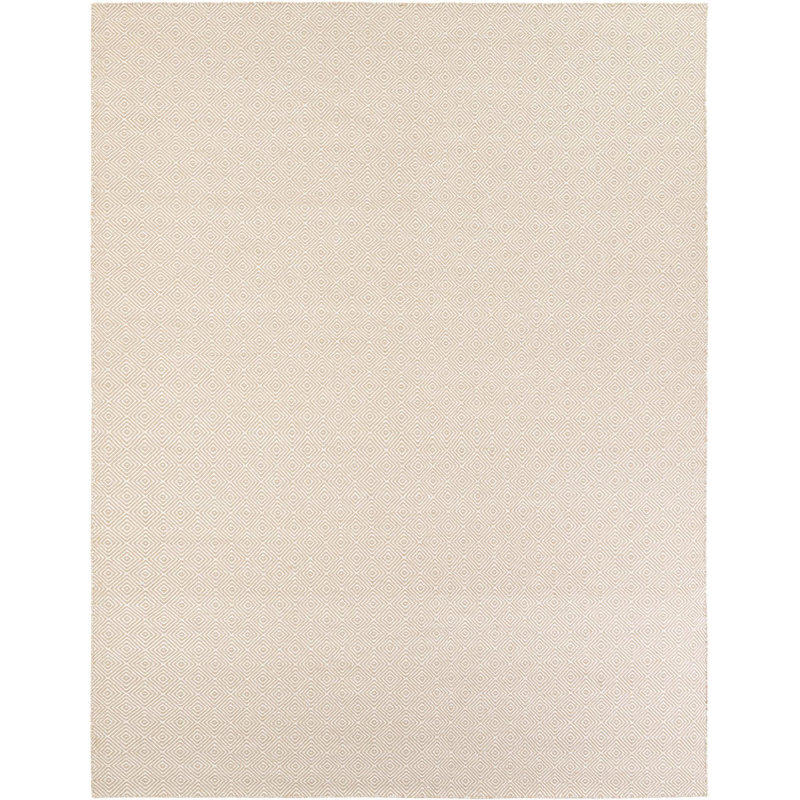 Contemporary Ohara Area Rug Beige Color, Rectangle 9' x 12'