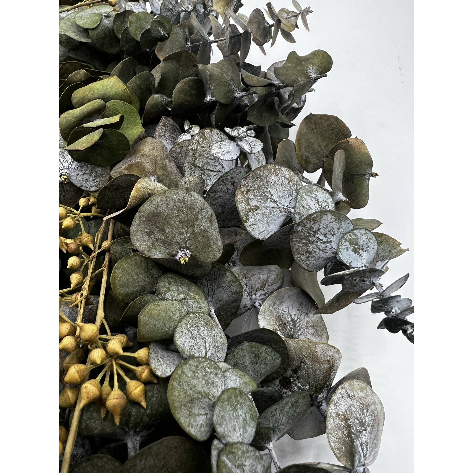Preserved Spring Eucalyptus Wreath, 21" W x 21" H x 3" D