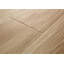 Planche en vinyle de luxe NEUF ADURA®Rigid avec Microban® Noble Oak 7 po x 60 po x 5,5 mm en feuille sèche avec couche d'usure de 20 mil-125532004