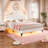 Princess Style Velvet Upholstered Scalloped Platform Bed-2036231805-2024874714
