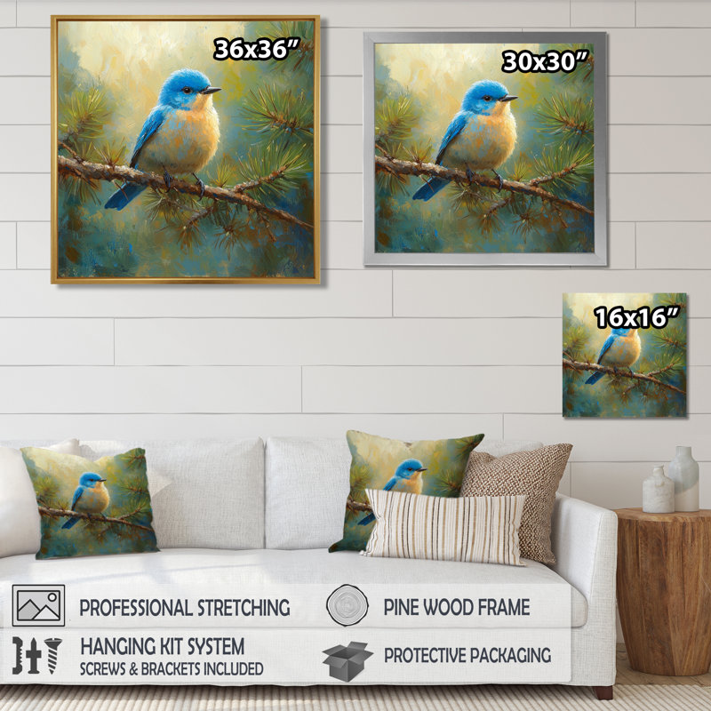 «Cheery Bluebird In The Pines I», art mural oiseau, Reproduction encadrée d'une seule photo, Noir, H 16 po x l 16 po