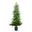 Sapin de Noël-972129111