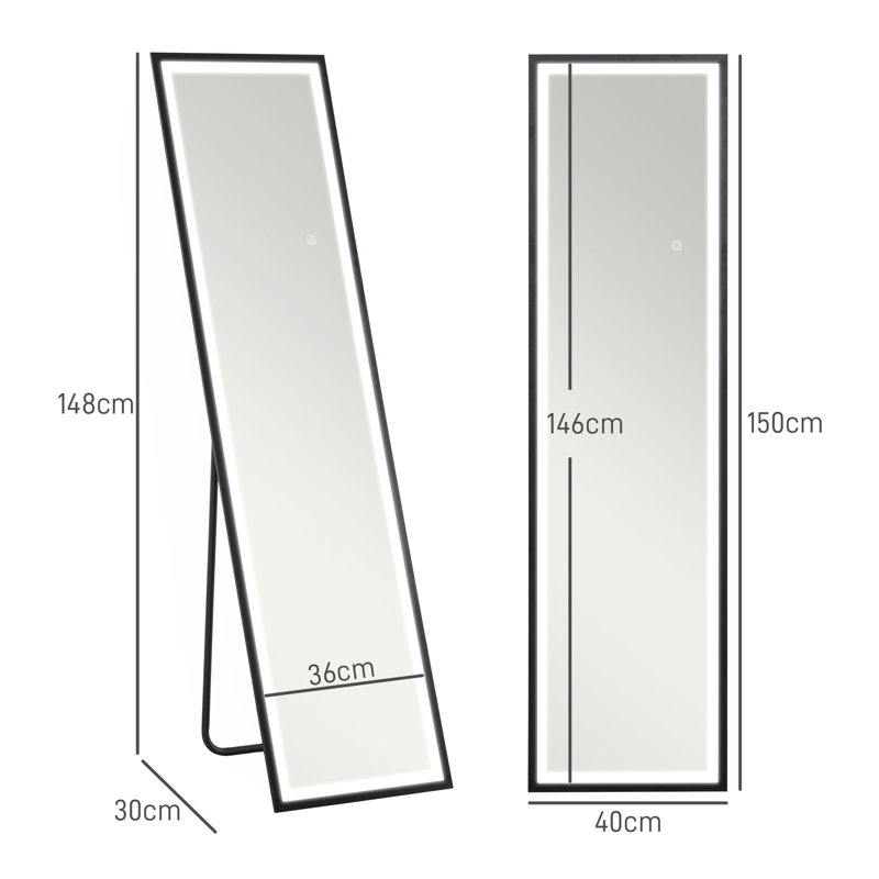 Danetra Metal Rectangle Floor Mirror