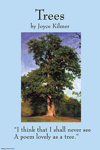 Sapins-imprimé publicitaire, H 66 po x l 44 po