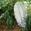 Garden Handmade Platter