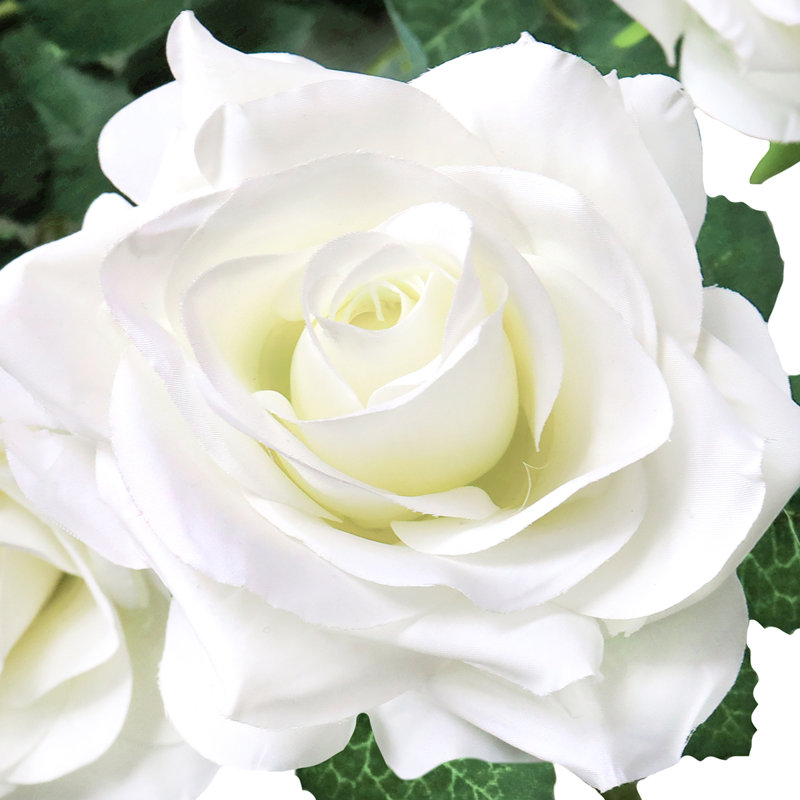 Buisson suspendu Deluxe, Blanc crème