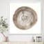 «Circle Natural Elements I», reproduction sur toile encadrée-48300899-48300900
