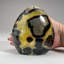 Polished Septarian Freeform From Madagascar (3 lbs)