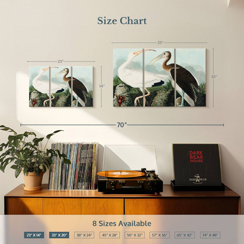 Brampt White Ibis, 20" H x 33" W
