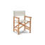Folding Director Chair-113112992