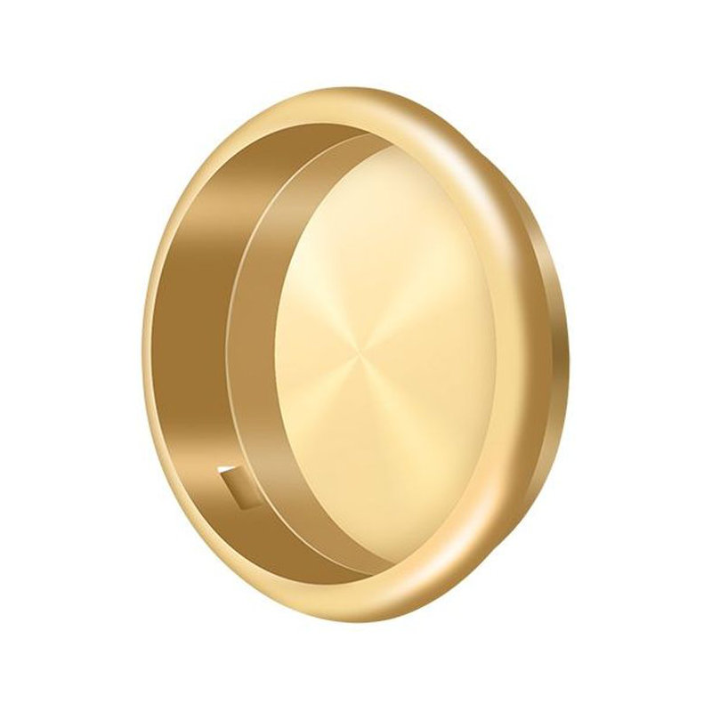 Brass Push/Pull Plate, PVD Polished Brass