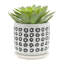 Comprend des pots de fleurs pour porte-plantes