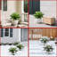 Plante grasse artificielle insérée au sol-310408672-305410915